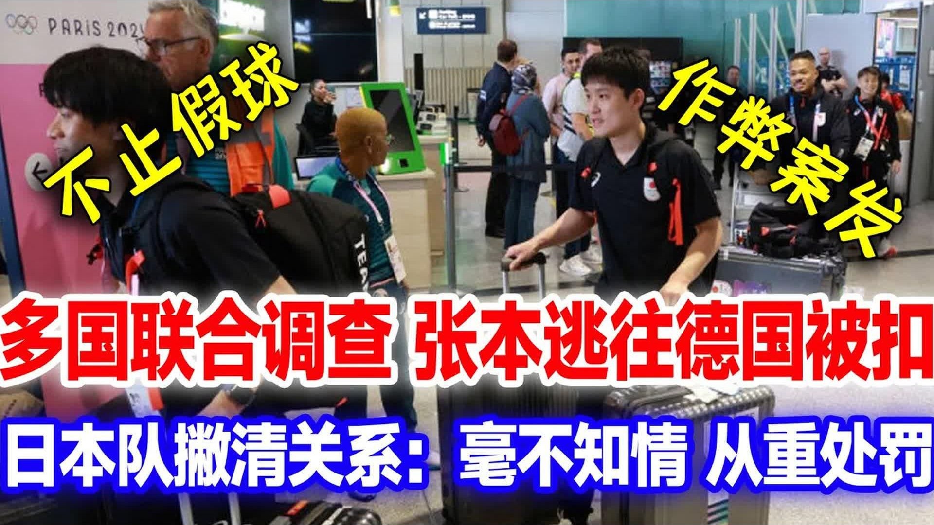 瑞典队力克德国队,张本智和统治全场 瑞典队力克德国队,张本智和统治全场