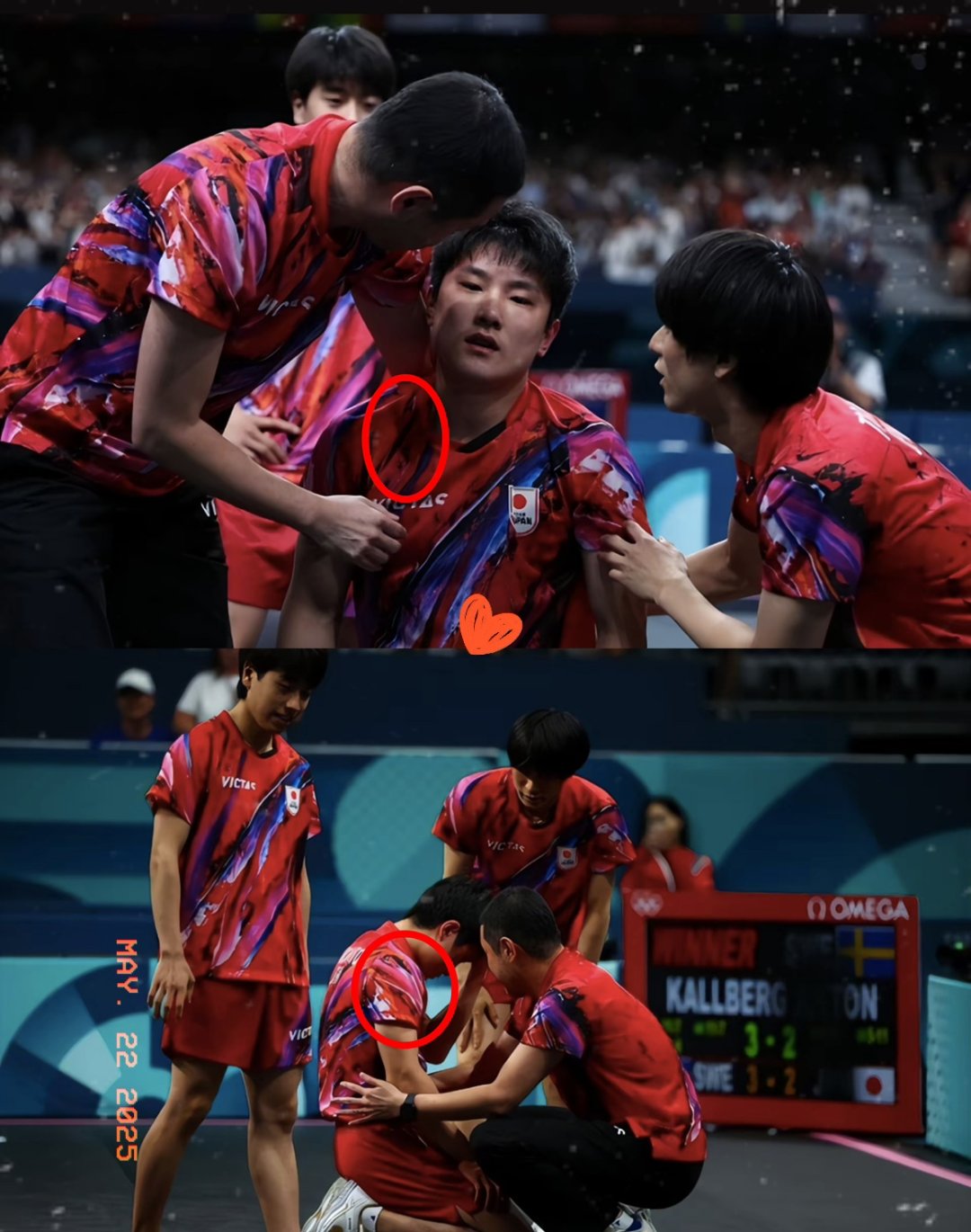 比利时乒乓球队横扫瑞典乒乓球队，张本智和绝境逆转