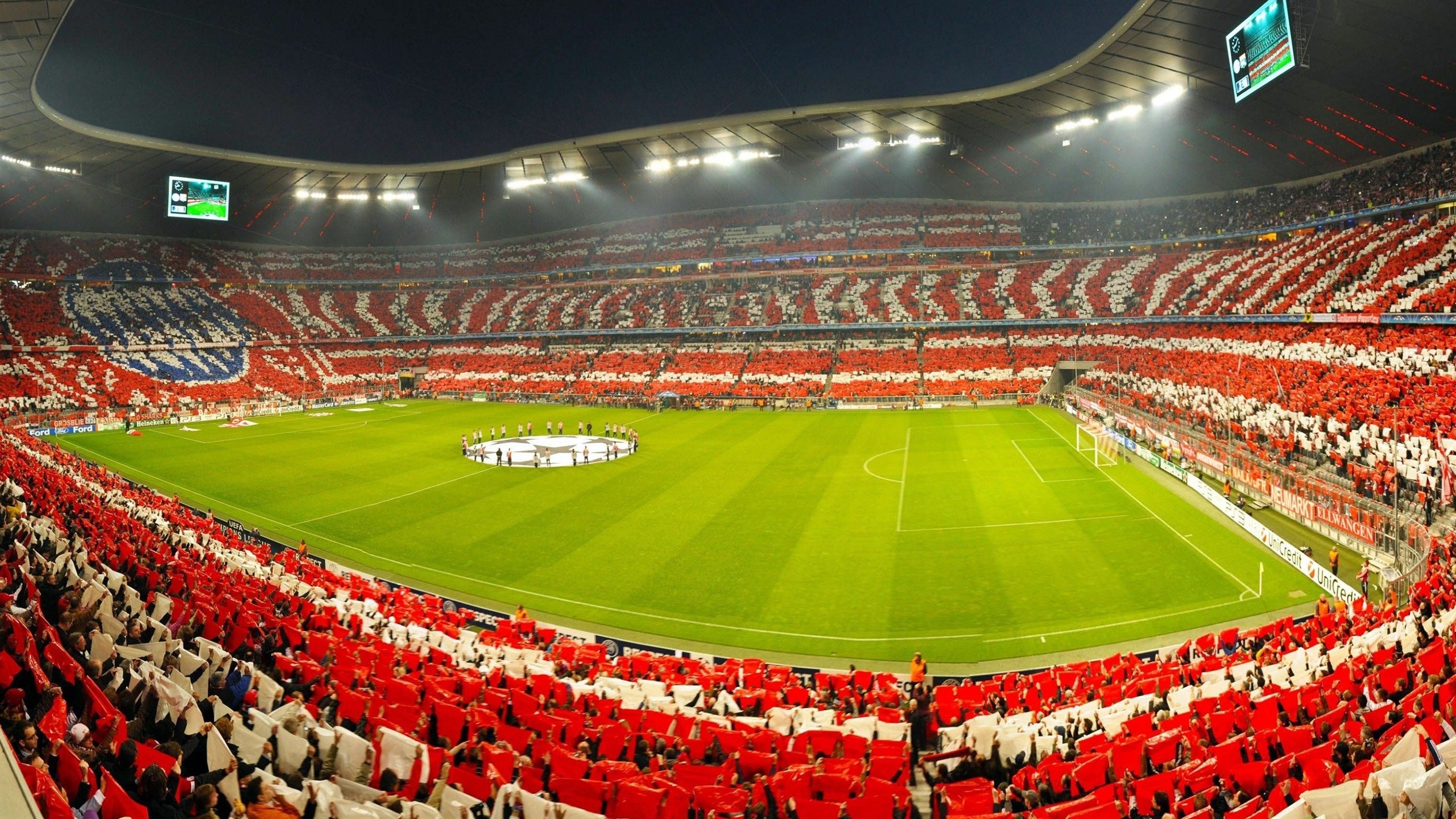 绿茵场与球台的交响，葡萄牙轻取德国，张本智和闪耀高光